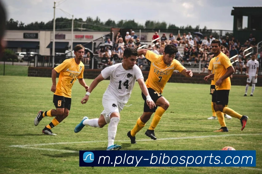 多媒体互动体验